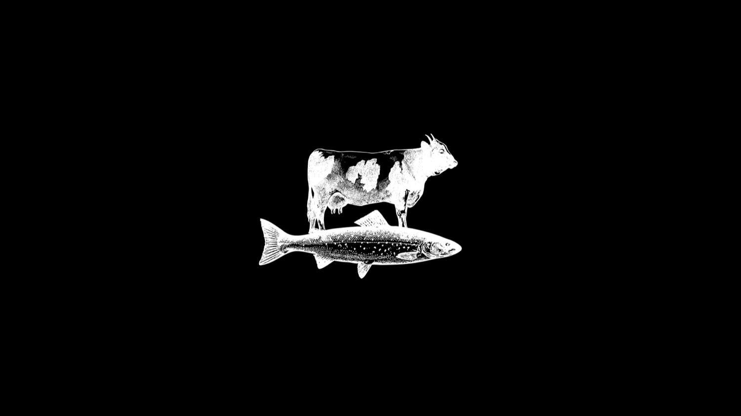 Meat the Fish, image 1 of 4