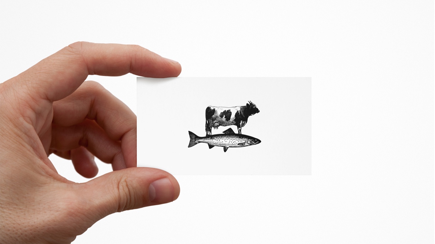 Meat the Fish, image 3 of 4