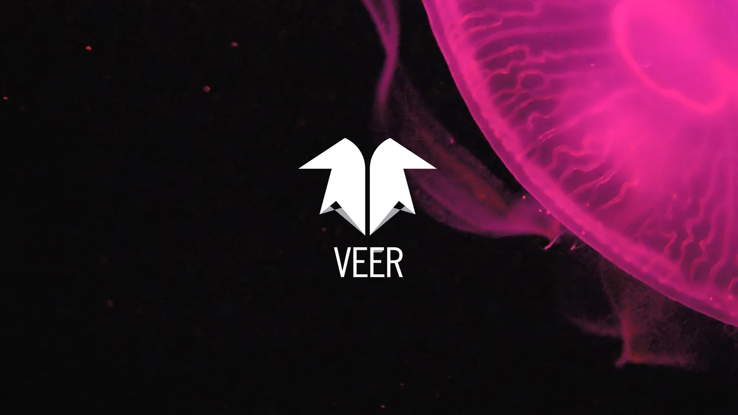 Veer, image 1 of 29
